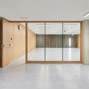 Стеклянная противопожарная перегородка / серия FRM5207